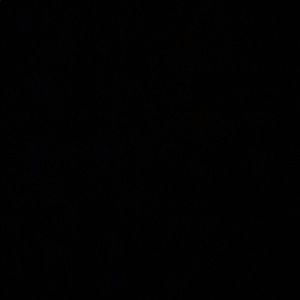 Meet your Posher, Abigail